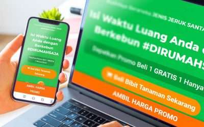 Jasa Pembuatan Website Murah, Pasti Page One di Tangerang